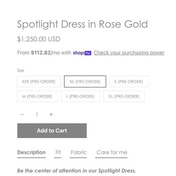 STHR Studios Spotlight Dress in Rose Gold - Picture 5 of 5